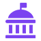 Government Icon